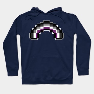 Pixel Rainbow Design in Asexual Pride Flag Colors Hoodie